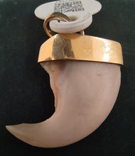 Laden Sie das Bild in den Galerie-Viewer, Original Tigerkralle mit Zertifikat in 18 Karat Gelbgold als Anhänger gefasst