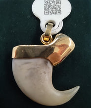 Laden Sie das Bild in den Galerie-Viewer, Original Tigerkralle in 18 Karat Gelbgold als Anhänger gefasst